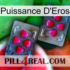 Eros Power 15